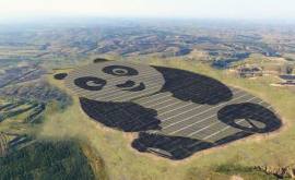 В Китае построили первую в мире солнечную электростанцию в форме панды