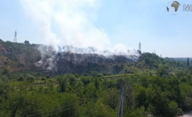Imagini apocaliptice din locul unde au ars 5 ha de crengi uscate VIDEO