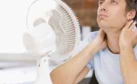 Вентиляторы не спасают от жары