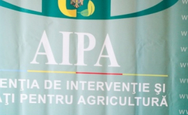 AIPA anunță despre efectuarea primelor plăți în cadrul Campaniei de Subvenționare