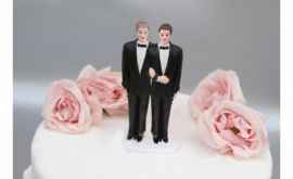 Date ştiinţifice şocante despre familiile de homosexuali