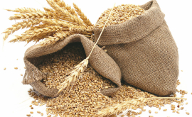 В Приднестровье ввели пошлину на экспорт масличных и зерновых культур