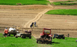 Молдова и Иран расширят сотрудничество в области сельского хозяйства 
