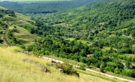  În Moldova ariile naturale protejate constituie aproximat 5
