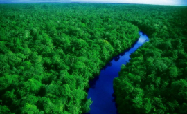 Леса Амазонки самостоятельно генерируют дожди