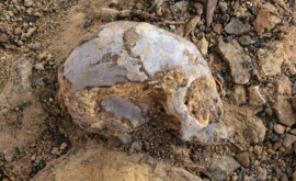 Un craniu descoperit recent aparține celui mai vechi om VIDEO