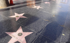 Pe Walk of Fame din Hollywood va mai aparea o stea