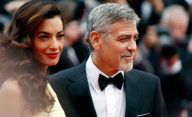 Джордж и Амал Клуни пожертвовали 1 миллион долларов
