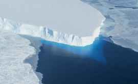 Surpriza de proporții găsită sub ghețarii din Antarctica