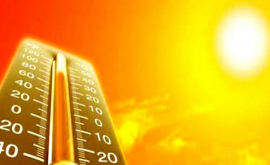 Экстремальная жара ожидает жителей Молдовы в выходные дни