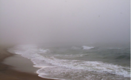 Накрывший английский пляж ядовитый туман попал на видео