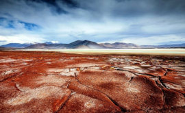 Priveliște rar întîlnită în deşertul Atacama FOTO