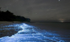 Fenomenul fascinant datorită căruia se formează valurile albastre FOTO