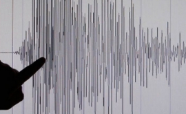 В Мексике произошло землетрясение силой 8 баллов ВИДЕО