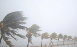 Ураган Ирма бушует у севера Кубы и движется к Флориде