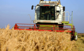 Producătorii agricoli resimt un deficit de cadre calificate 