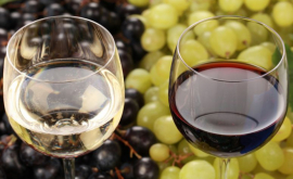 Sectorul vitivinicol a renăscut opinii