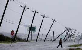 Ураган Харви вынес на техасский пляж тело странного создания ФОТО
