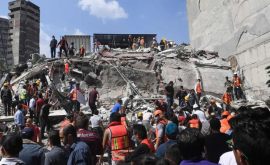Спасение собаки во время землетрясения в Мексике попало в Сеть ВИДЕО