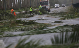 Ураган Мария привёл к гибели жителя Гваделупы