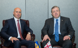 Молдова и Грузия готовы реализовать совместные инвестпроекты