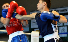 Еще два молдавских боксера завоевали медали на Чемпионате Европы
