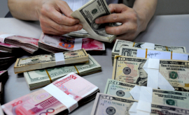 Companiile din Moldova au majorat considerabil cererea de valută străină