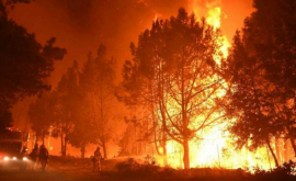 Evacuări în masă în California în urma unui incendiu masiv VIDEO