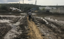 Locuitorii care au suferit pagube în urma ploilor vor primi ajutor