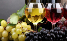 Orașul în care Festivalul vinului moldovenesc va avea loc în premieră 