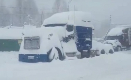 Un teritoriu vast al Rusiei acoperit de zăpadă