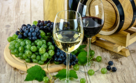 ONVV Moldova trebuie să extindă exportul vinurilor de elită în UE