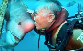 Un japonez timp de 30 de ani are grijă de un peşte cu cap de om VIDEO