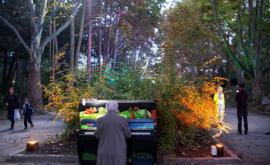 В Долине роз всех желающих провоцируют играть на пианино ФОТО