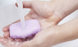 Ziua Internațională a Spălatului pe Mîini