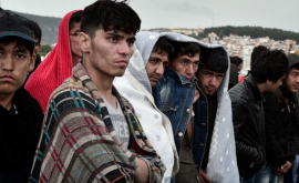 Греция просит расширить критерии переселения для мигрантов в ЕС