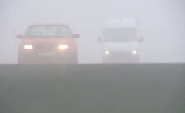 Рекомендации в условиях тумана на дорогах 