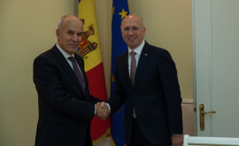 Молдова и Иордания расширят сотрудничество