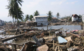 Жителей 11 стран Азии оповестили о скорой гибели от цунами