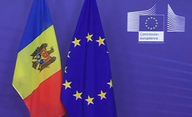 Калмык Рынок ЕС намного стабильнее для молдавских товаров