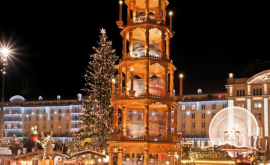 В Вене уже установили рождественскую елку