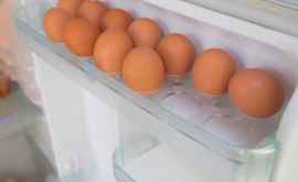 Почему яйца нельзя хранить на дверце холодильника