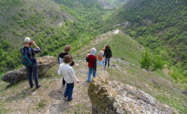 Все больше туристов посещают Молдову