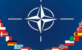 Когда состоится открытие Бюро связи НАТО в Молдове