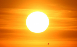 Астрофизики зафиксировали исчезновение пятен на Солнце