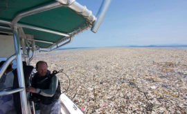 Iată cum arată gunoiul în ocean VIDEO