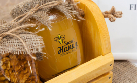 În Moldova în ultimii 10 ani a crescut exportul de miere