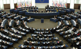 Заявление Европейского парламента о шаурме