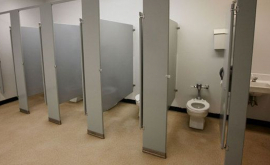 Elevii îndemnați să publice imagini cu starea WCurilor din școlile lor