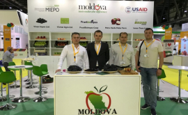 Fructele moldovenești promovate la Dubai
